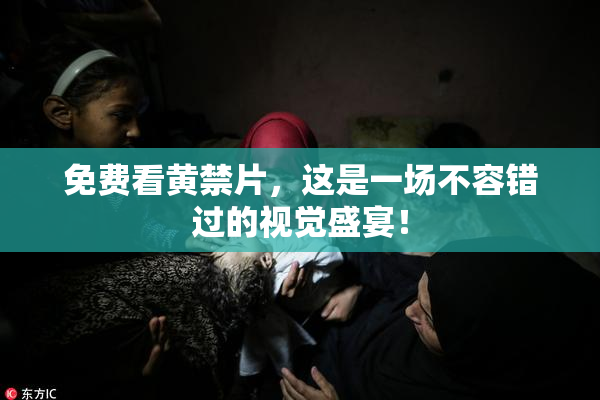 免费看黄禁片，这是一场不容错过的视觉盛宴！