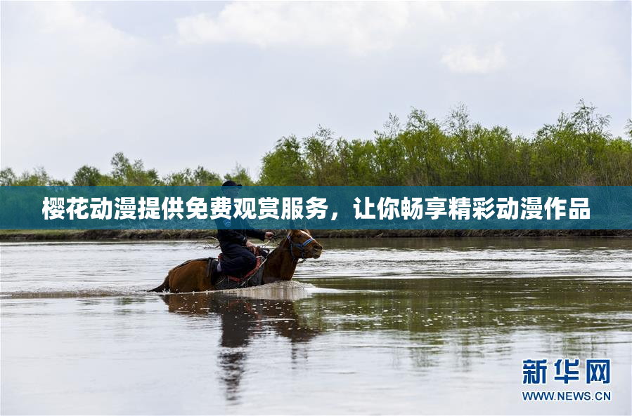 樱花动漫提供免费观赏服务，让你畅享精彩动漫作品