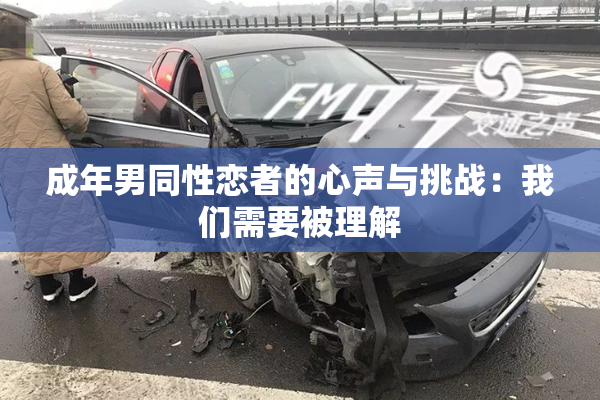 成年男同性恋者的心声与挑战：我们需要被理解