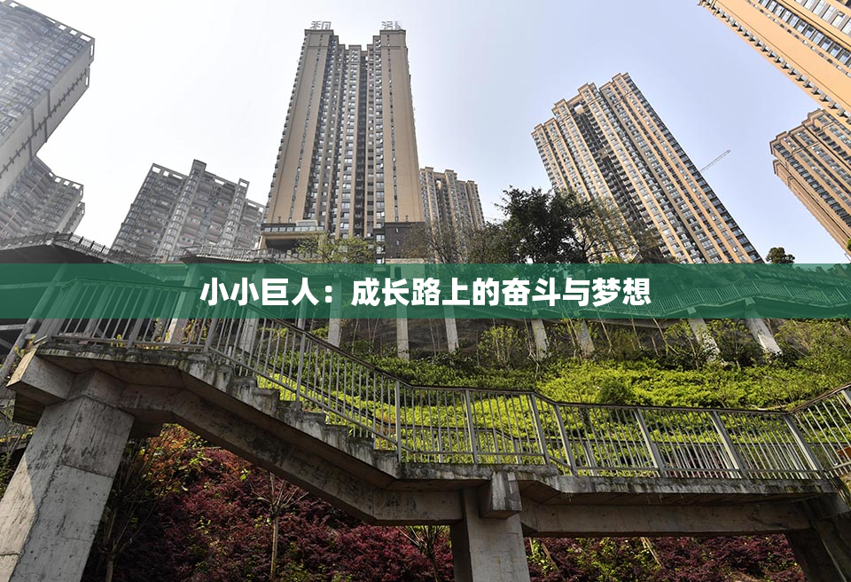 小小巨人：成长路上的奋斗与梦想
