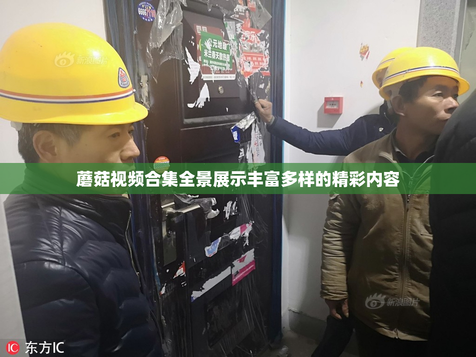 蘑菇视频合集全景展示丰富多样的精彩内容