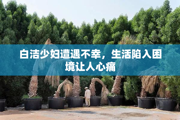 白洁少妇遭遇不幸，生活陷入困境让人心痛
