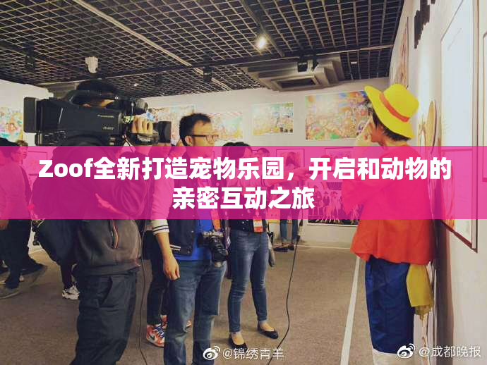 Zoof全新打造宠物乐园，开启和动物的亲密互动之旅