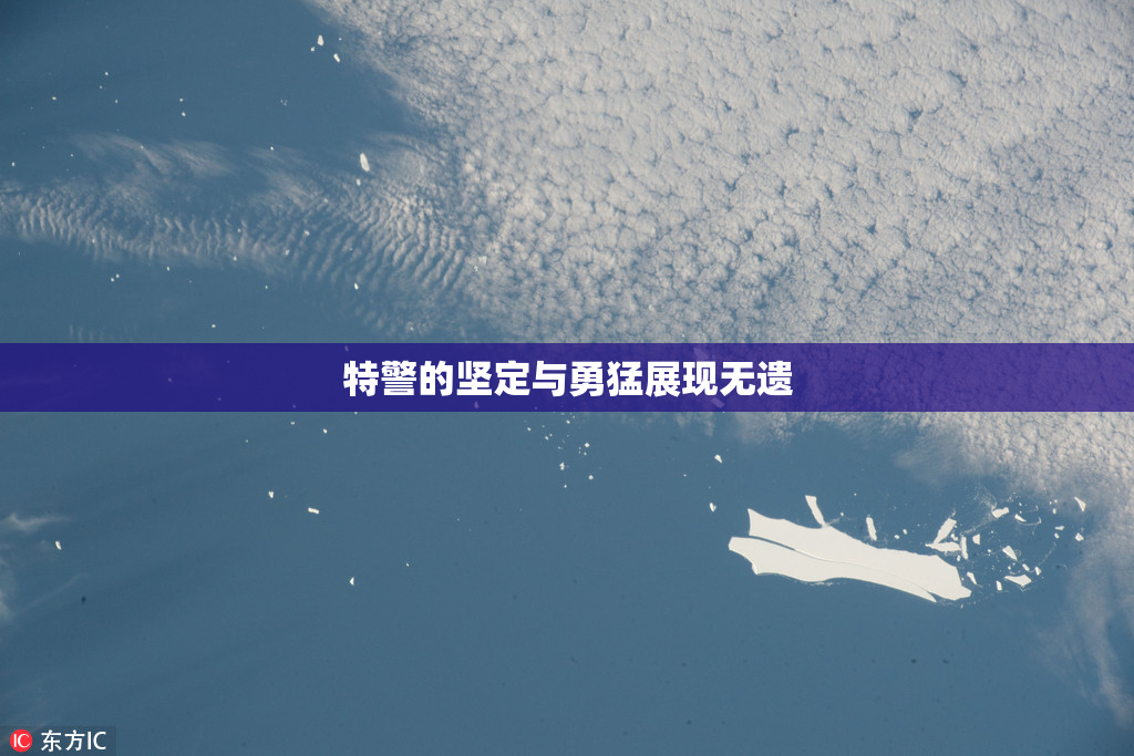 特警的坚定与勇猛展现无遗