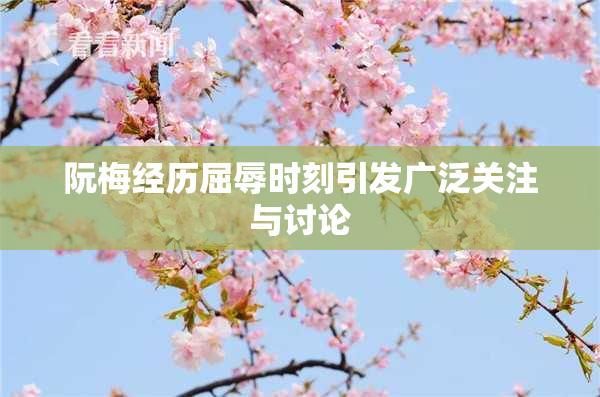 阮梅经历屈辱时刻引发广泛关注与讨论