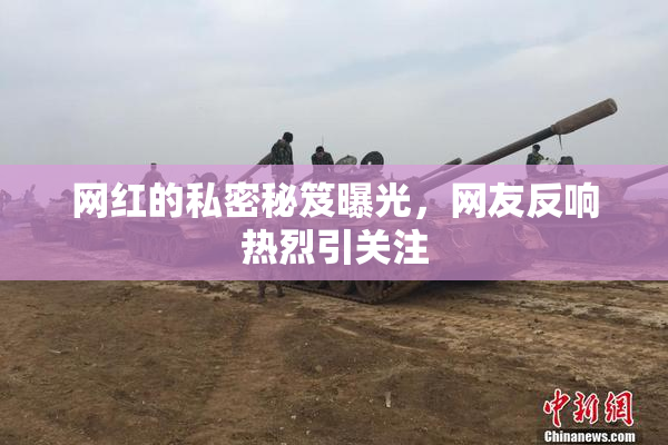 网红的私密秘笈曝光，网友反响热烈引关注