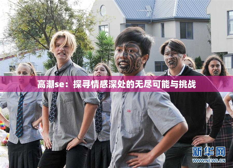高潮se：探寻情感深处的无尽可能与挑战