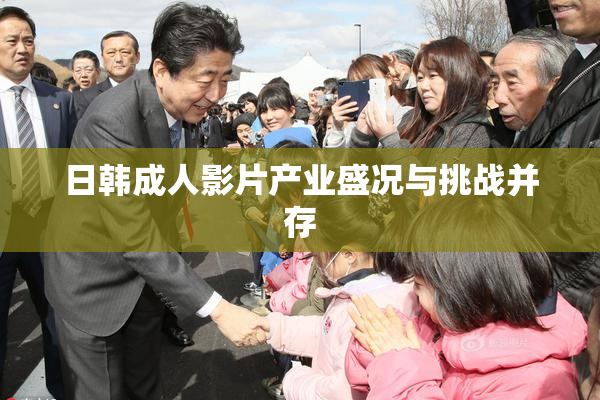 日韩成人影片产业盛况与挑战并存