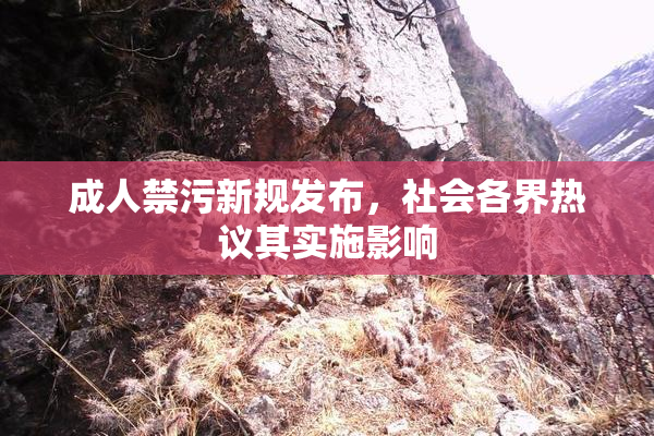 成人禁污新规发布，社会各界热议其实施影响