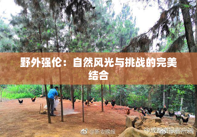 野外强伦：自然风光与挑战的完美结合