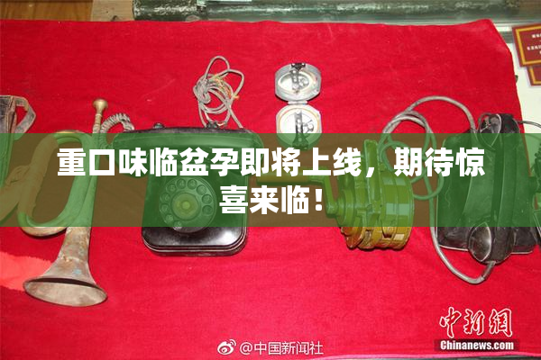 重口味临盆孕即将上线，期待惊喜来临！