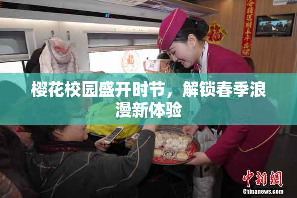 樱花校园盛开时节，解锁春季浪漫新体验