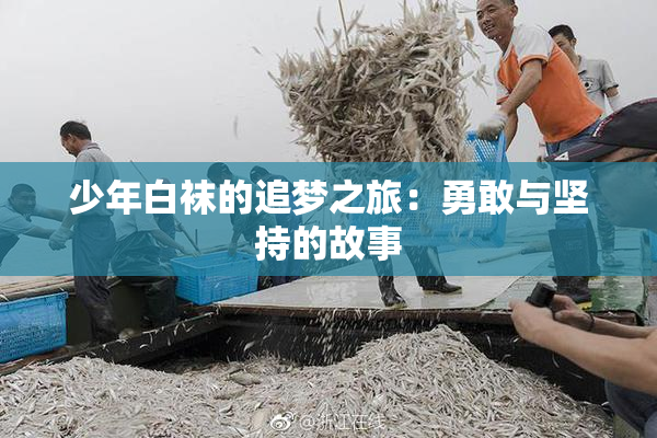 少年白袜的追梦之旅：勇敢与坚持的故事