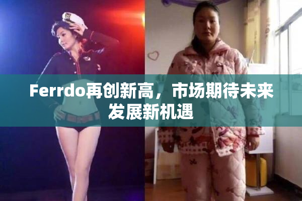 Ferrdo再创新高，市场期待未来发展新机遇