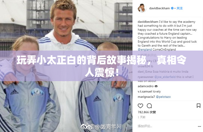 玩弄小太正白的背后故事揭秘，真相令人震惊！