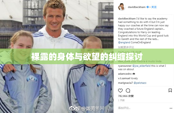 裸露的身体与欲望的纠缠探讨