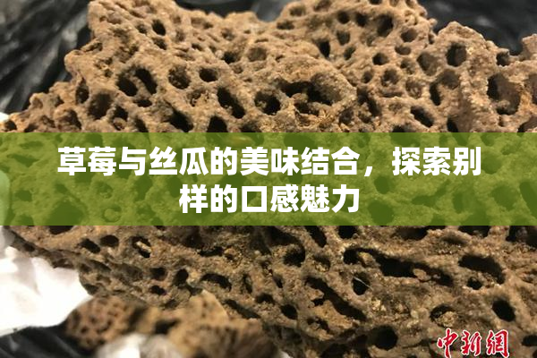 草莓与丝瓜的美味结合，探索别样的口感魅力