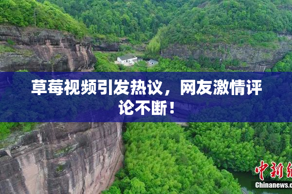 草莓视频引发热议，网友激情评论不断！