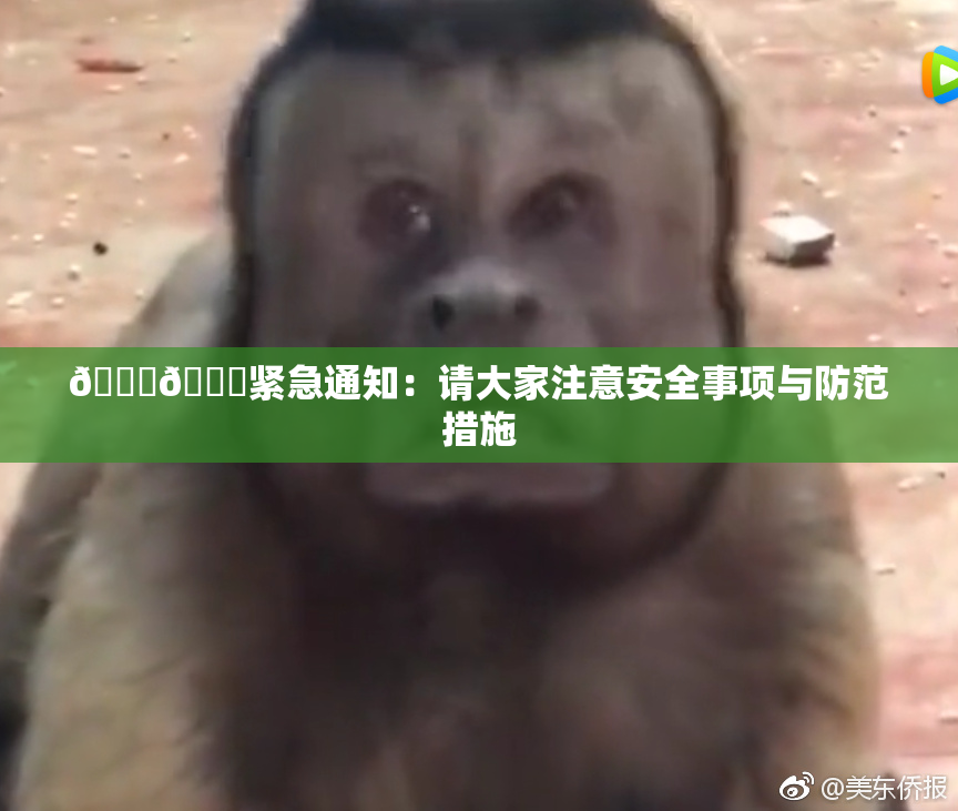 🔞🔞紧急通知：请大家注意安全事项与防范措施