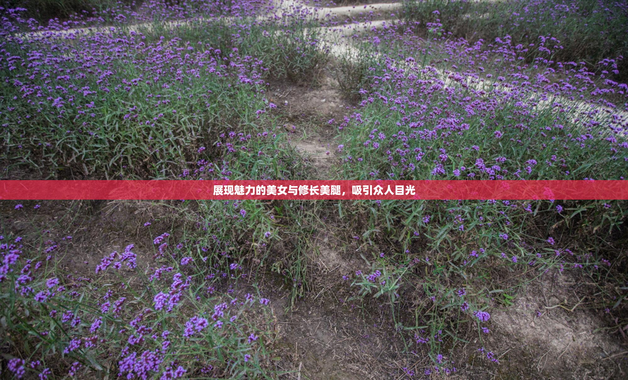 展现魅力的美女与修长美腿，吸引众人目光