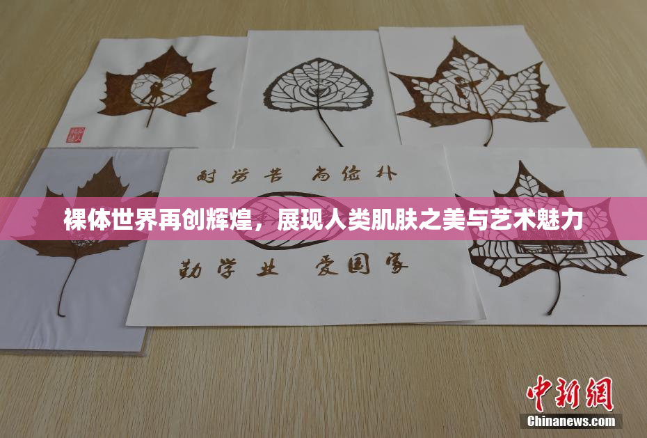 裸体世界再创辉煌，展现人类肌肤之美与艺术魅力