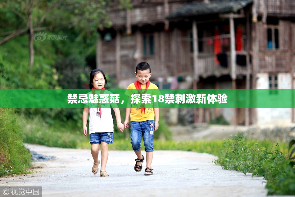 禁忌魅惑菇，探索18禁刺激新体验