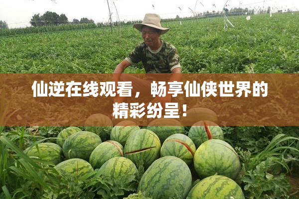 仙逆在线观看，畅享仙侠世界的精彩纷呈！