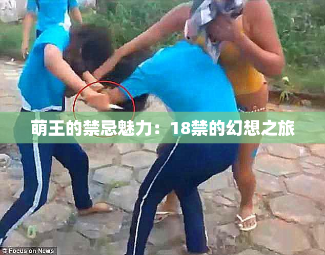 萌王的禁忌魅力：18禁的幻想之旅