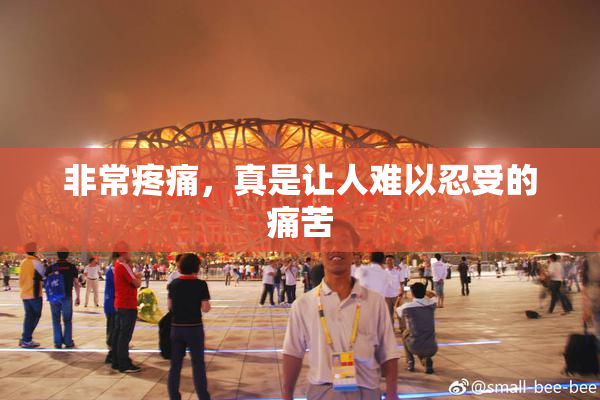 非常疼痛，真是让人难以忍受的痛苦