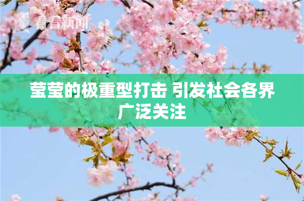 莹莹的极重型打击 引发社会各界广泛关注