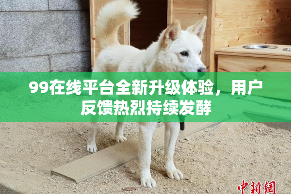 99在线平台全新升级体验，用户反馈热烈持续发酵