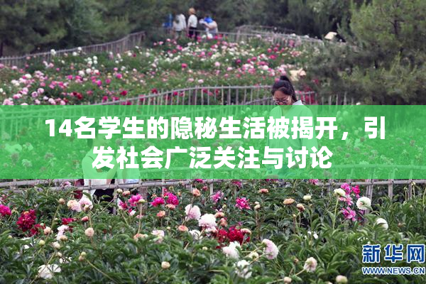 14名学生的隐秘生活被揭开，引发社会广泛关注与讨论