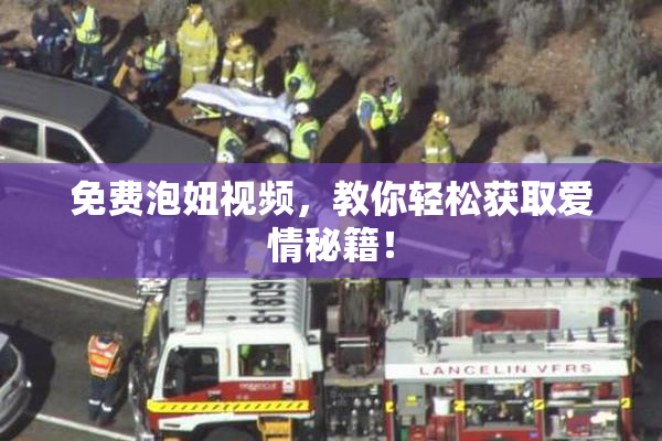 免费泡妞视频，教你轻松获取爱情秘籍！