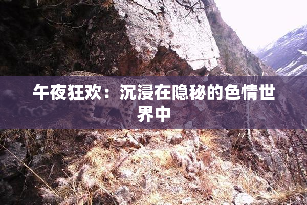 午夜狂欢：沉浸在隐秘的色情世界中