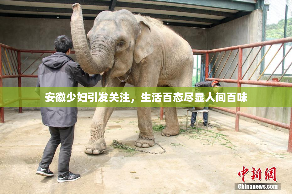 安徽少妇引发关注，生活百态尽显人间百味