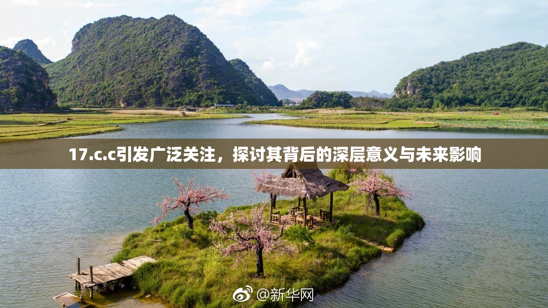 17.c.c引发广泛关注，探讨其背后的深层意义与未来影响