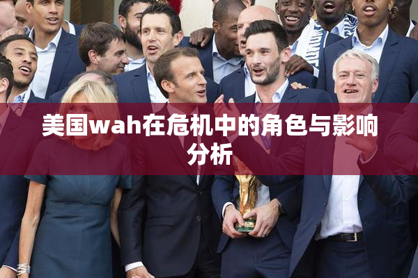 美国wah在危机中的角色与影响分析
