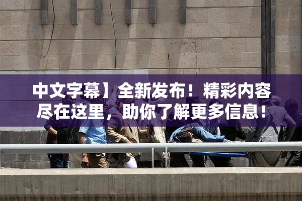 中文字幕】全新发布！精彩内容尽在这里，助你了解更多信息！