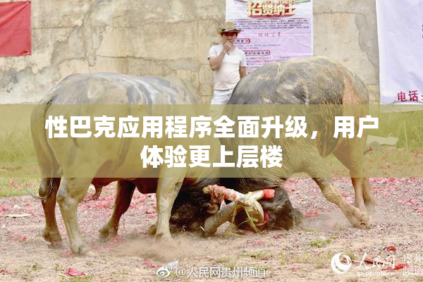 性巴克应用程序全面升级，用户体验更上层楼