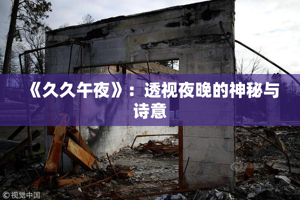 《久久午夜》：透视夜晚的神秘与诗意