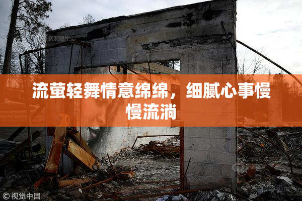 流萤轻舞情意绵绵，细腻心事慢慢流淌