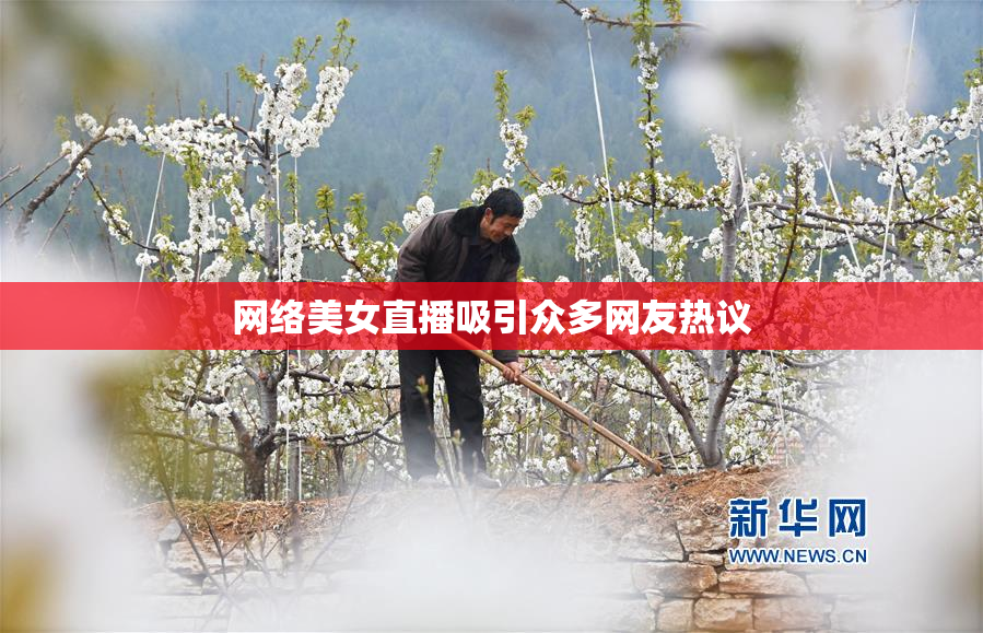 网络美女直播吸引众多网友热议