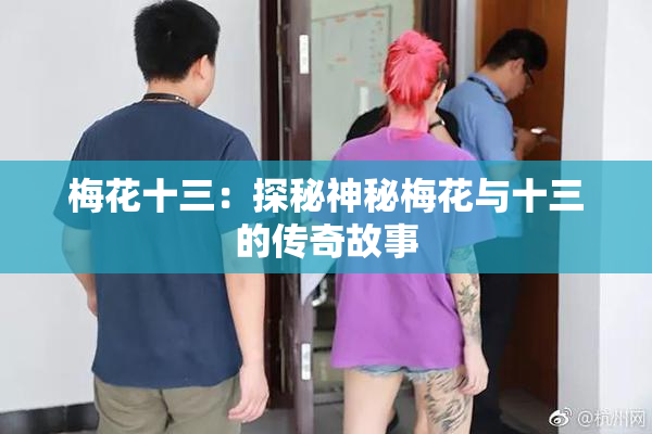 梅花十三：探秘神秘梅花与十三的传奇故事