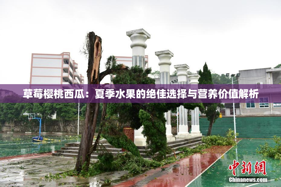 草莓樱桃西瓜：夏季水果的绝佳选择与营养价值解析