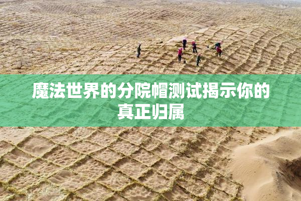 魔法世界的分院帽测试揭示你的真正归属