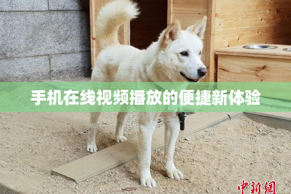 手机在线视频播放的便捷新体验