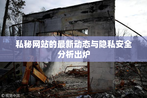 私秘网站的最新动态与隐私安全分析出炉