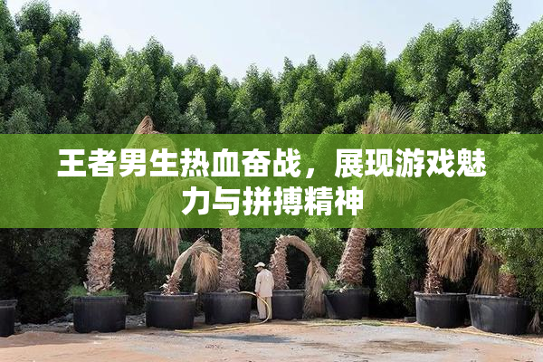 王者男生热血奋战，展现游戏魅力与拼搏精神