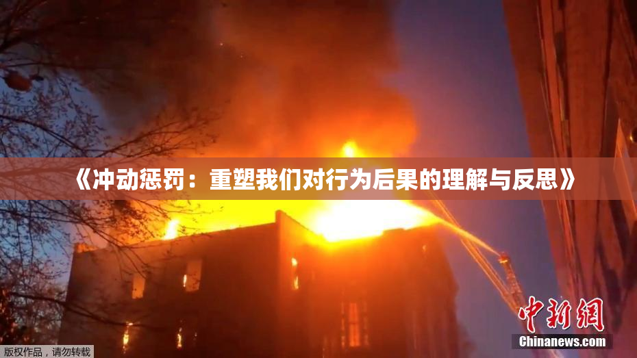 《冲动惩罚：重塑我们对行为后果的理解与反思》