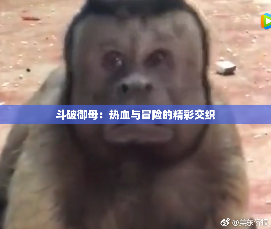 斗破御母：热血与冒险的精彩交织